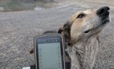 Кар’єр у дощовий день: робочий фотозвіт